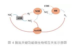 主流厭氧氨氧化工藝的研究與應(yīng)用進(jìn)展 新聞資訊 第7張