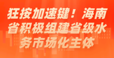 狂按加速鍵！海南省積極組建省級水務(wù)市場化主體